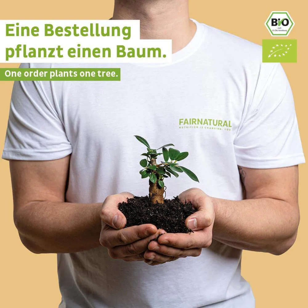 Bio Veganes Proteinpulver 3er Bundle (Sorten frei wählbar)