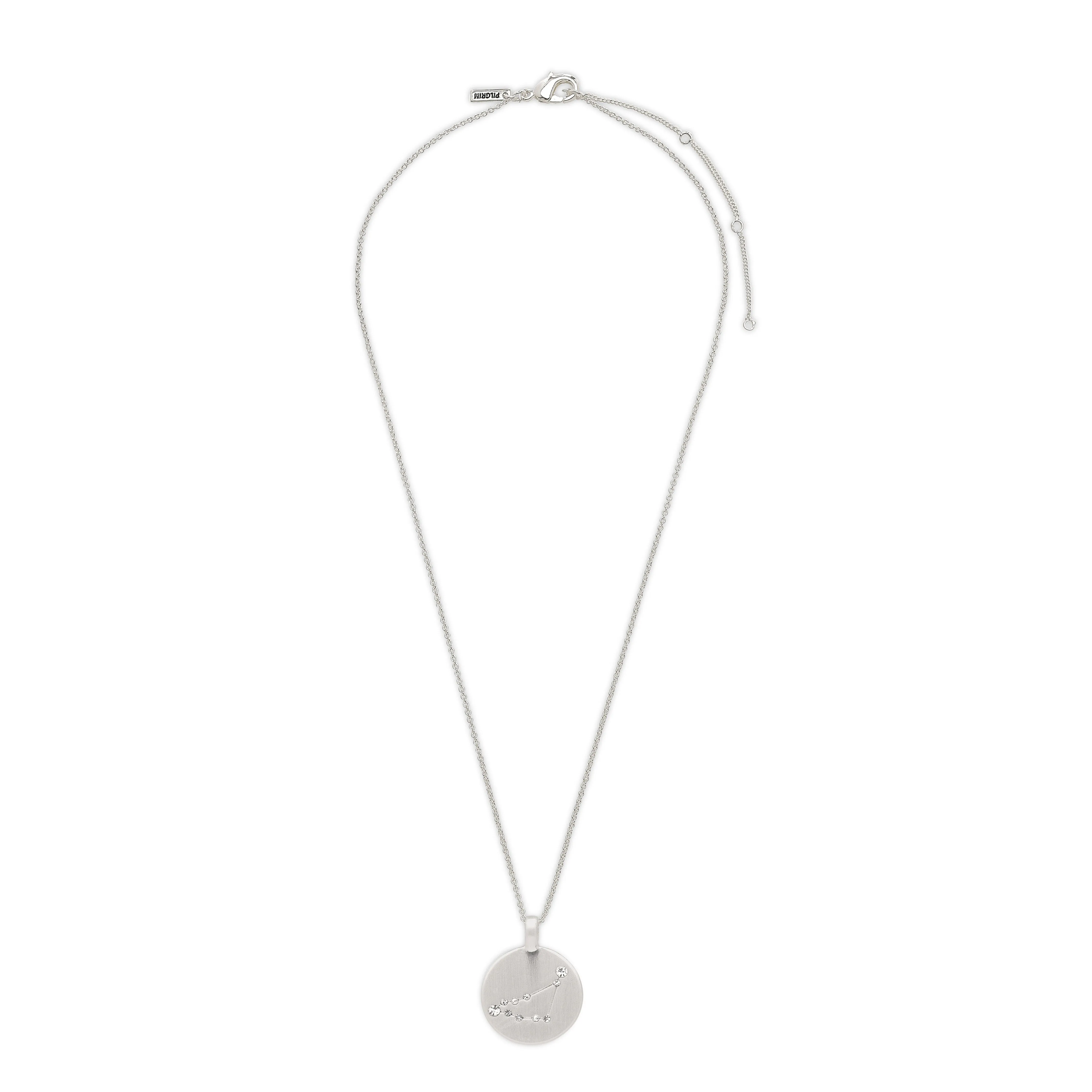 CAPRICORNUS Zodiac Sign Coin Necklace, silver-plated