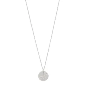 CAPRICORNUS Zodiac Sign Coin Necklace, silver-plated