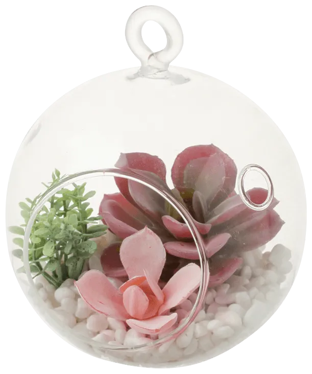 Caro Object Succulent Pot Pink