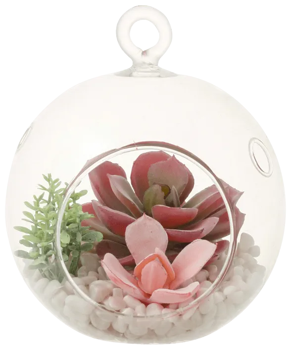 Caro Object Succulent Pot Pink