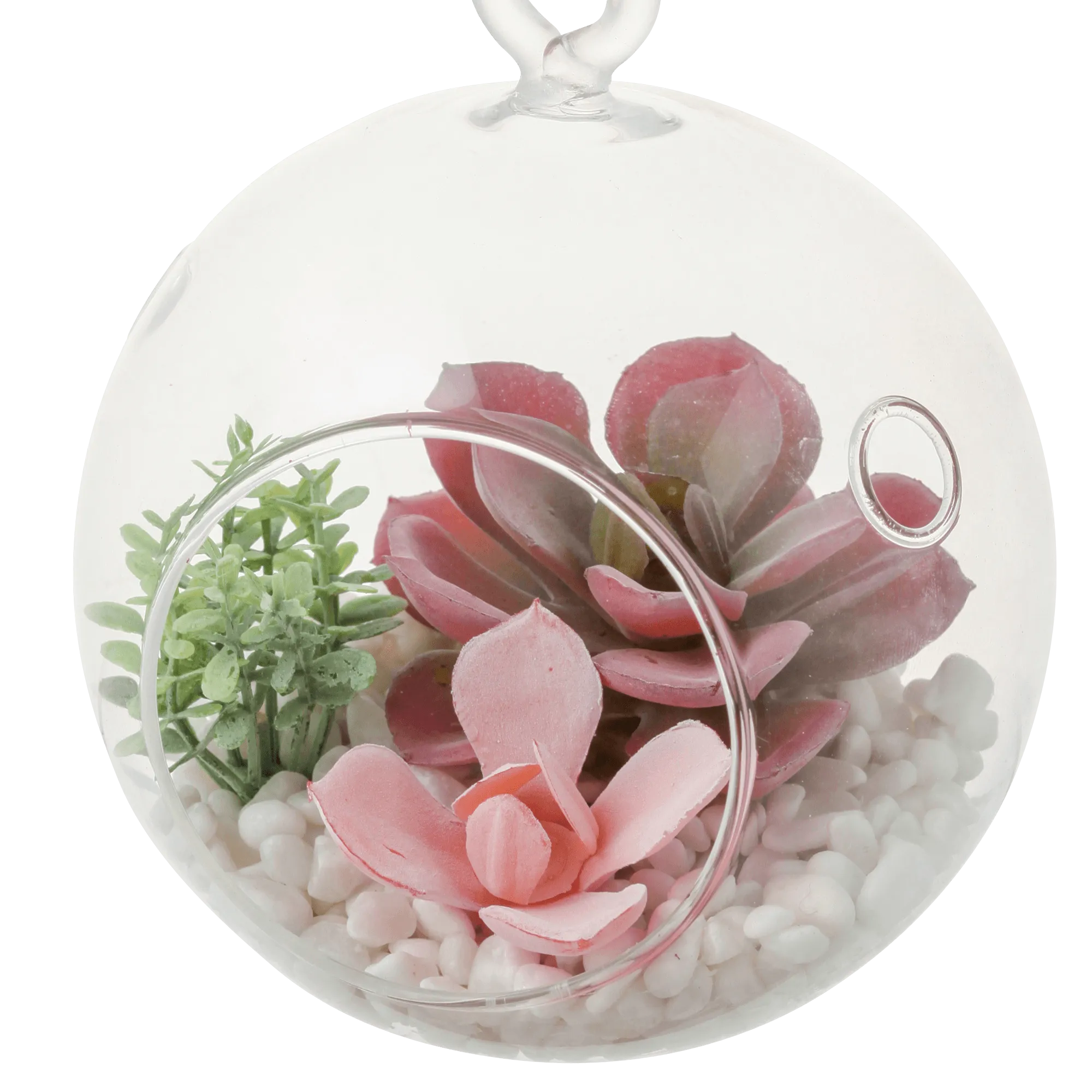 Caro Object Succulent Pot Pink