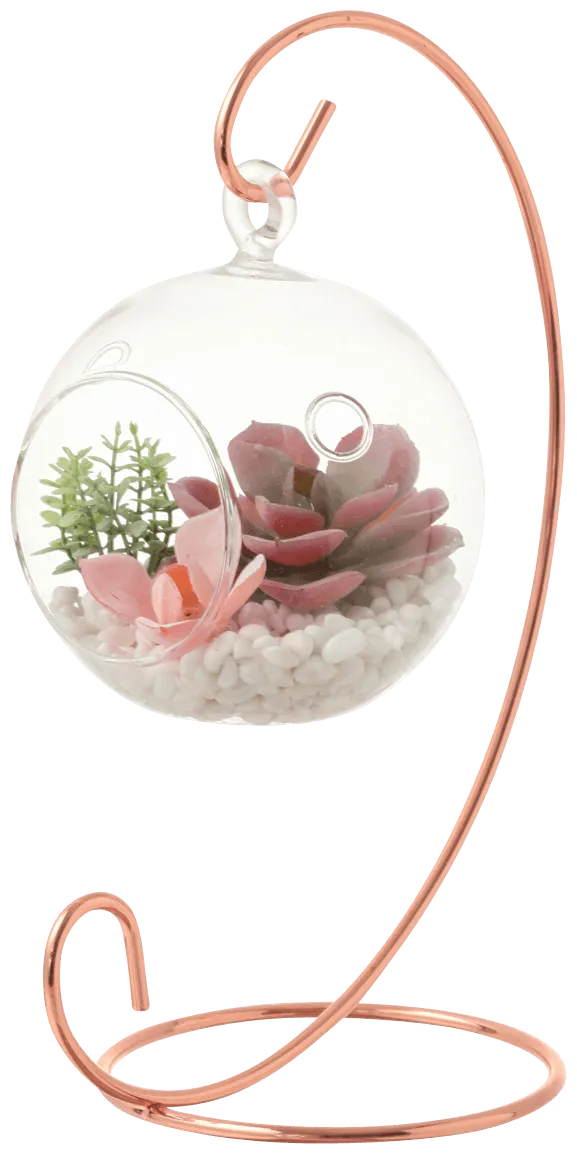 Caro Object Succulent Pot Pink