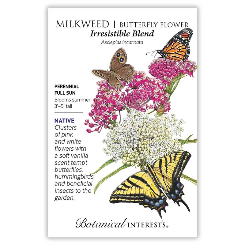 Eastern Breeze Butterfly Collection