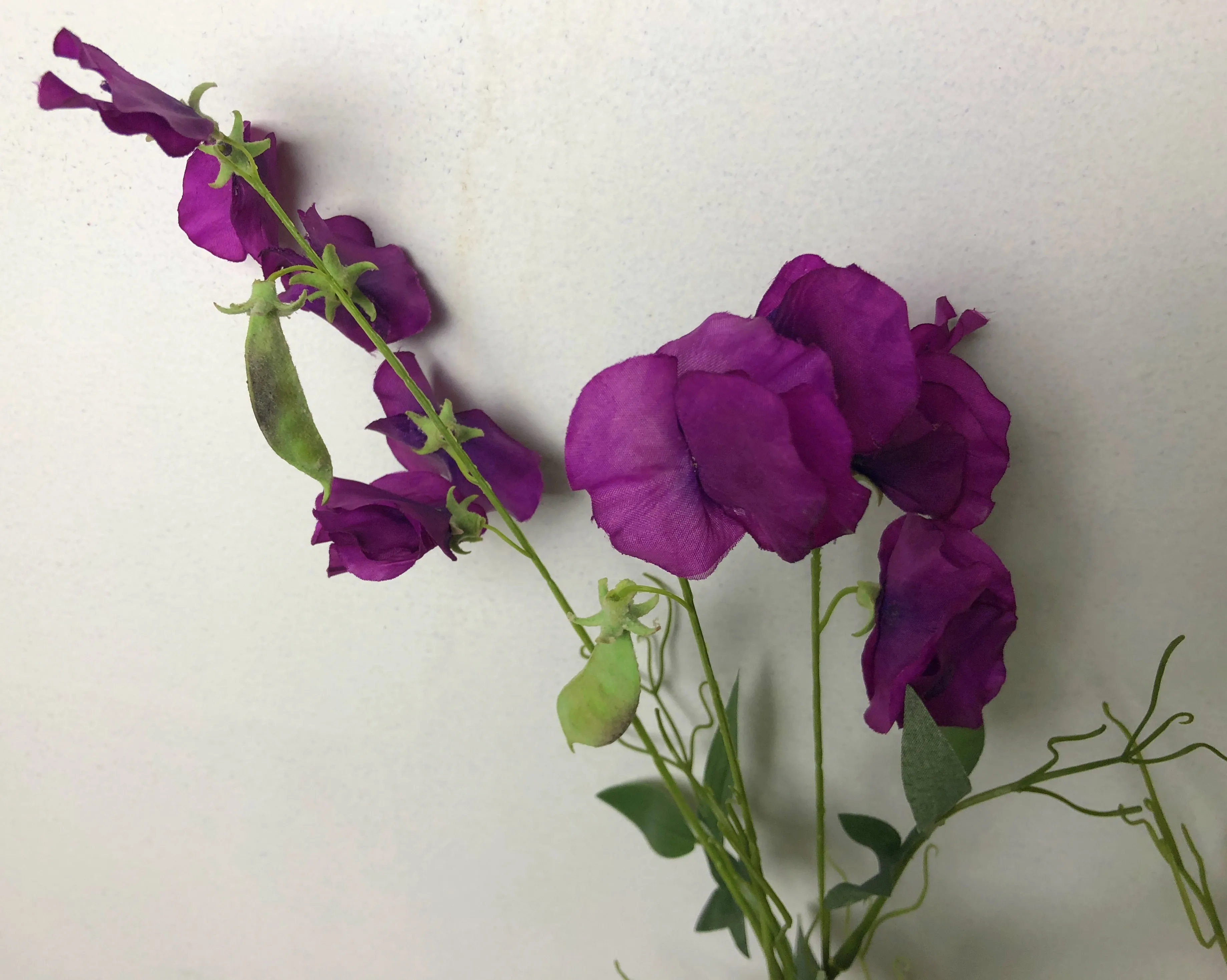 F0245 Sweet Pea Spray 71cm Purple / Light Green