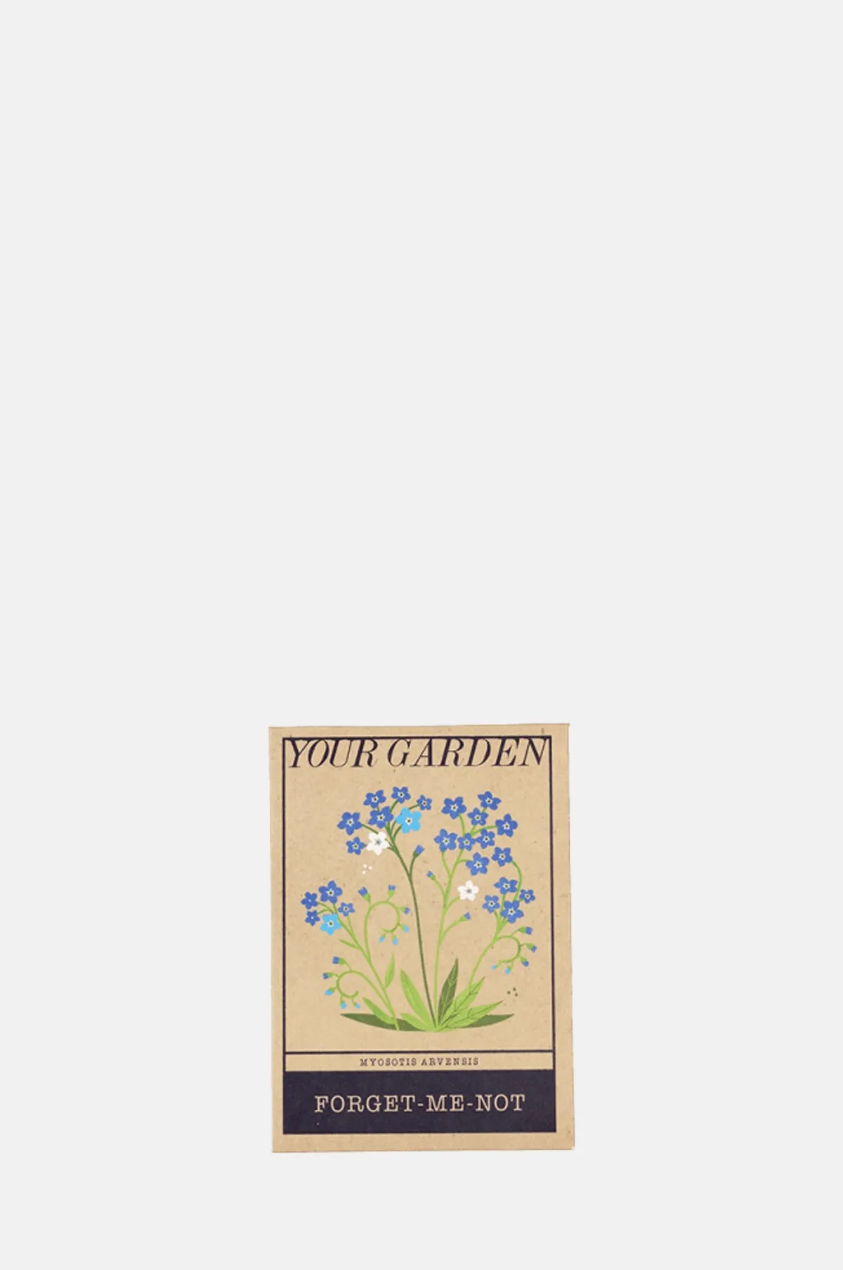 Forget-Me-Not Seed Packet