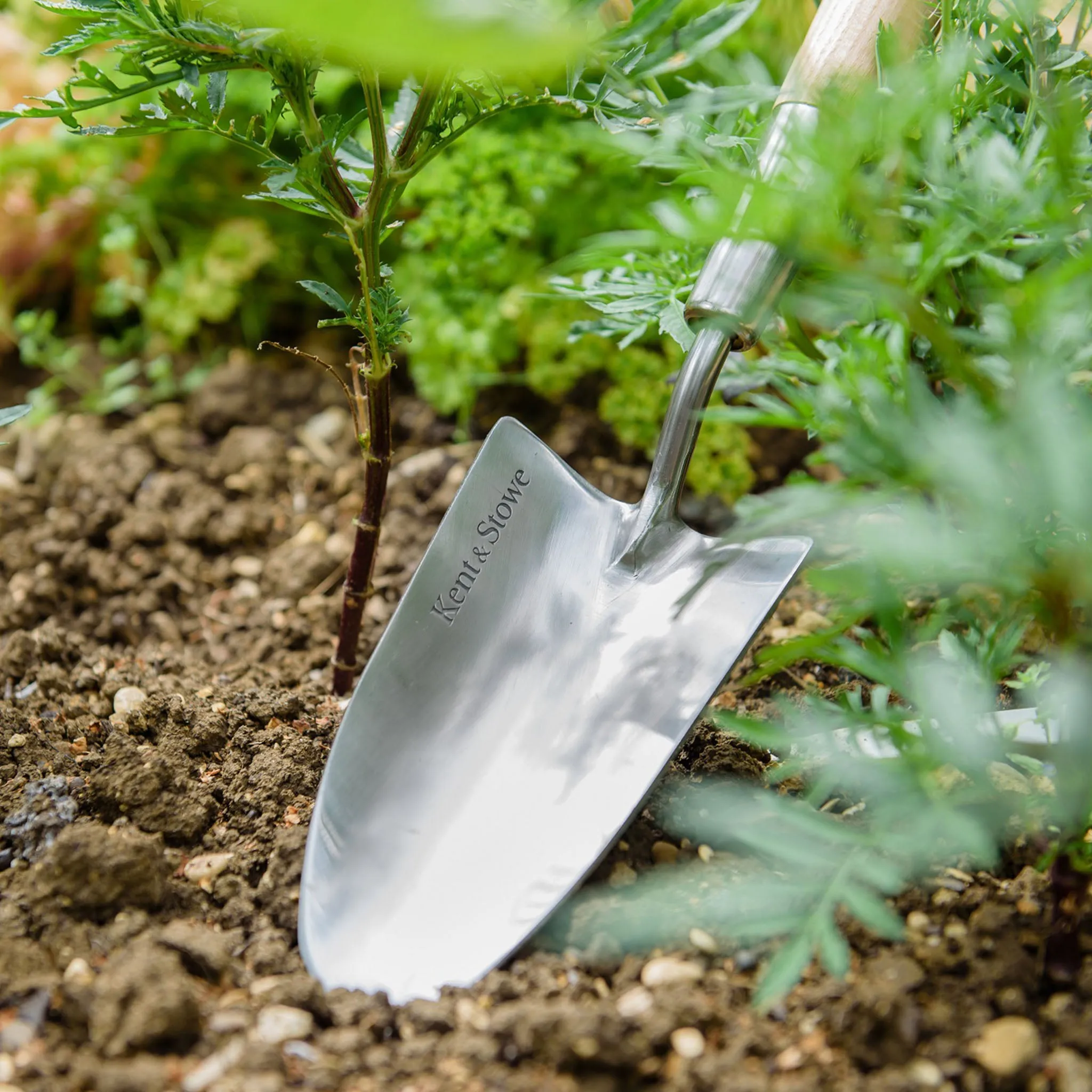 Kent & Stowe Stainless Steel Border Hand Trowel