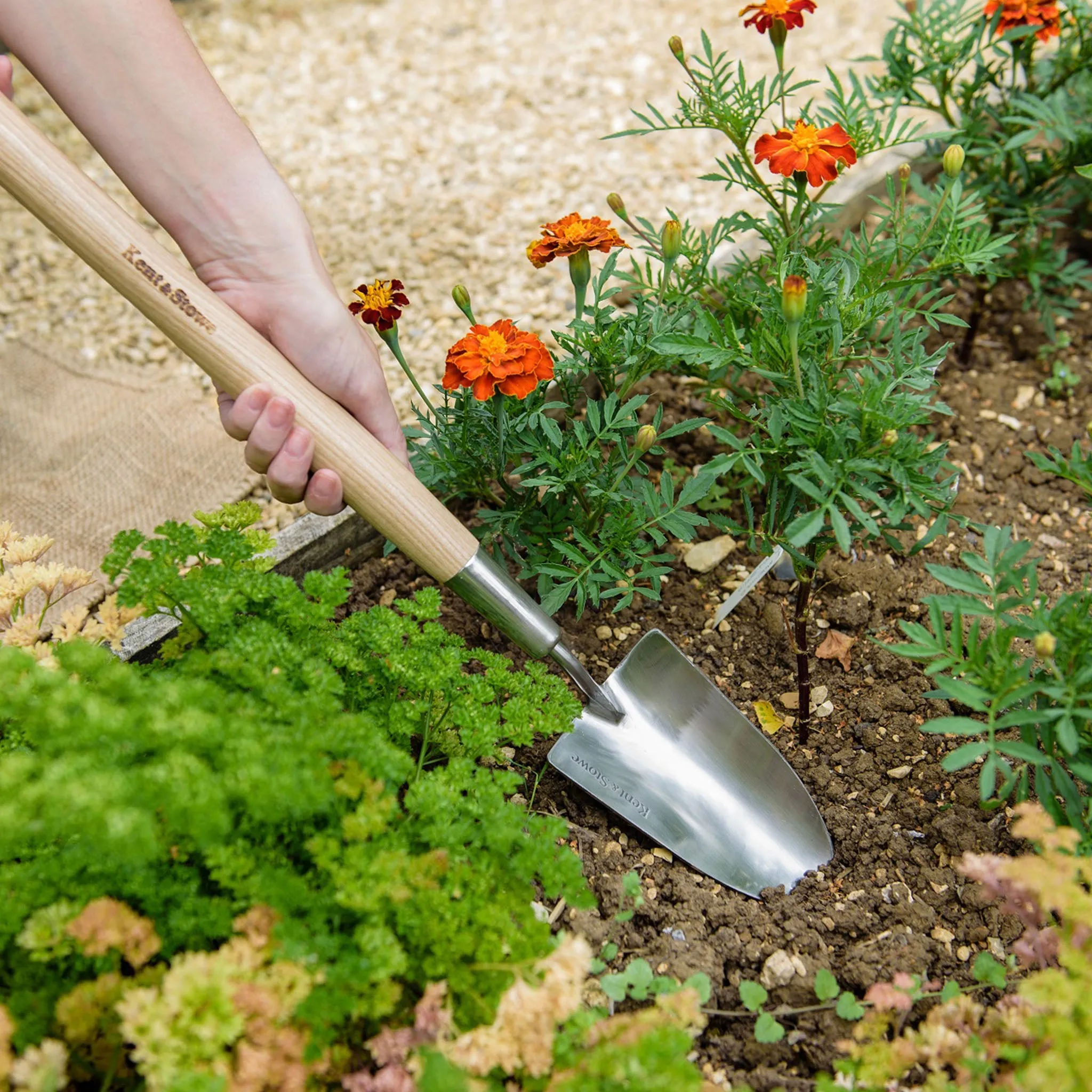 Kent & Stowe Stainless Steel Border Hand Trowel