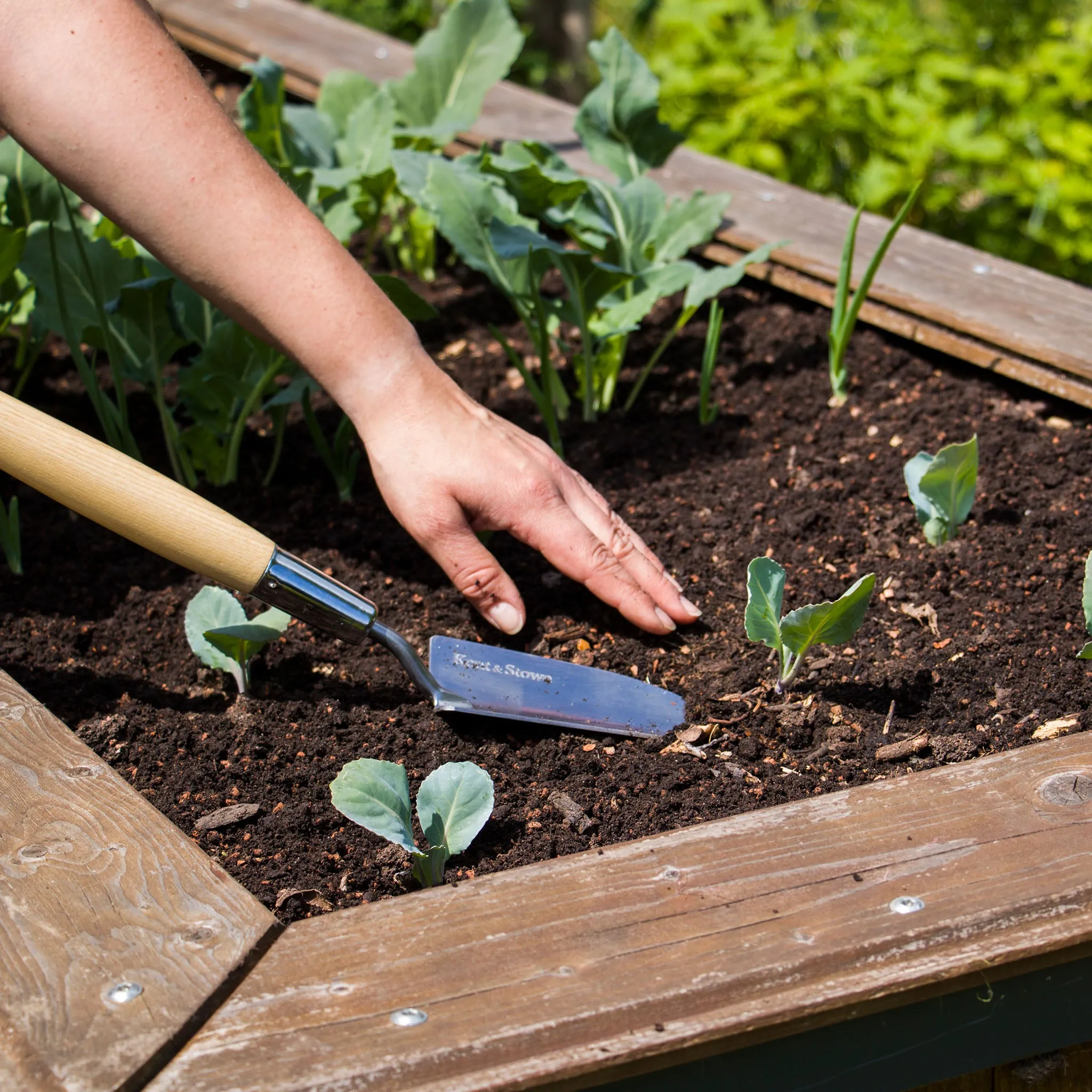 Kent & Stowe Stainless Steel Border Hand Trowel