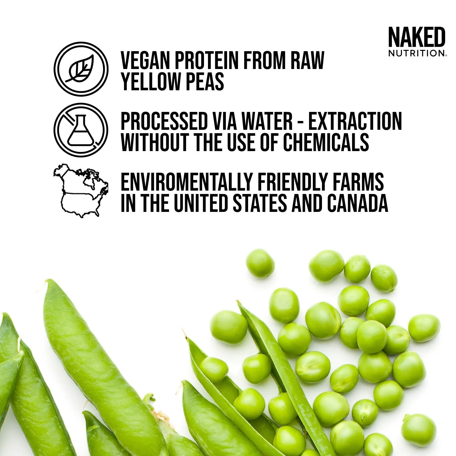 Vanilla Pea Protein Powder | Naked Vanilla Pea - 1LB